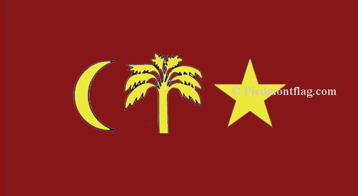 citadel flag